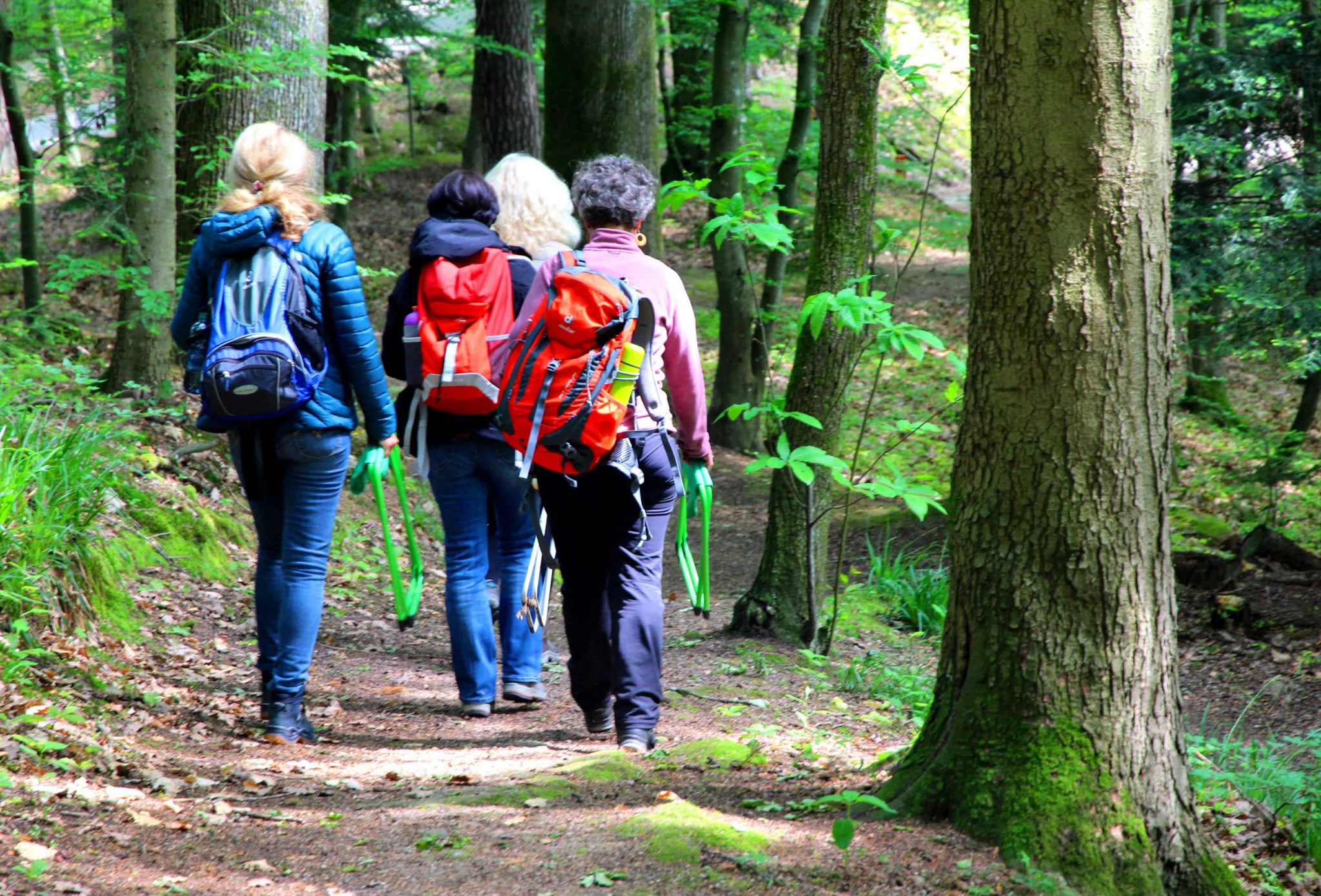 Waldbaden Ausbildung